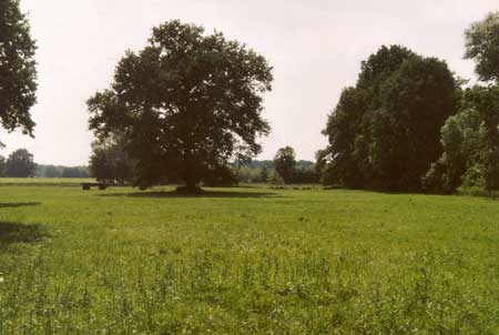 weiter zu home